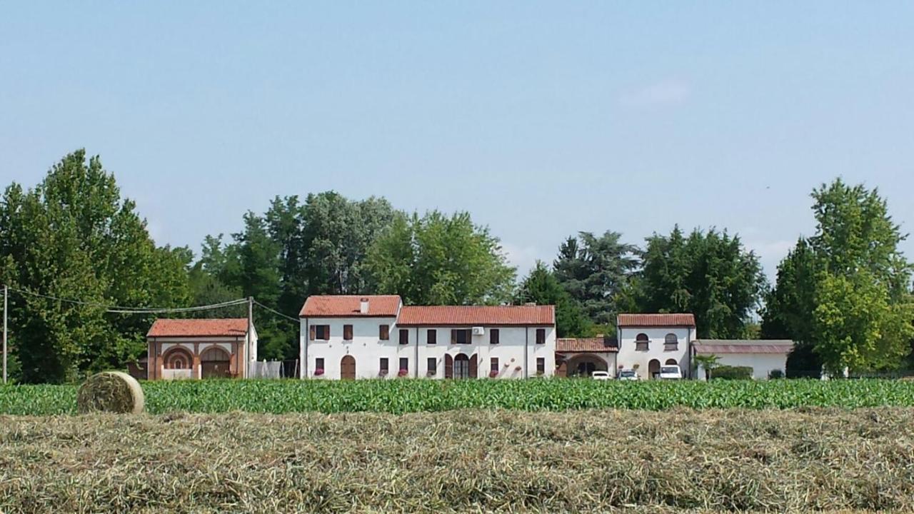 La Casa Delle Rondini Acomodação com café da manhã Roncoferraro Exterior foto